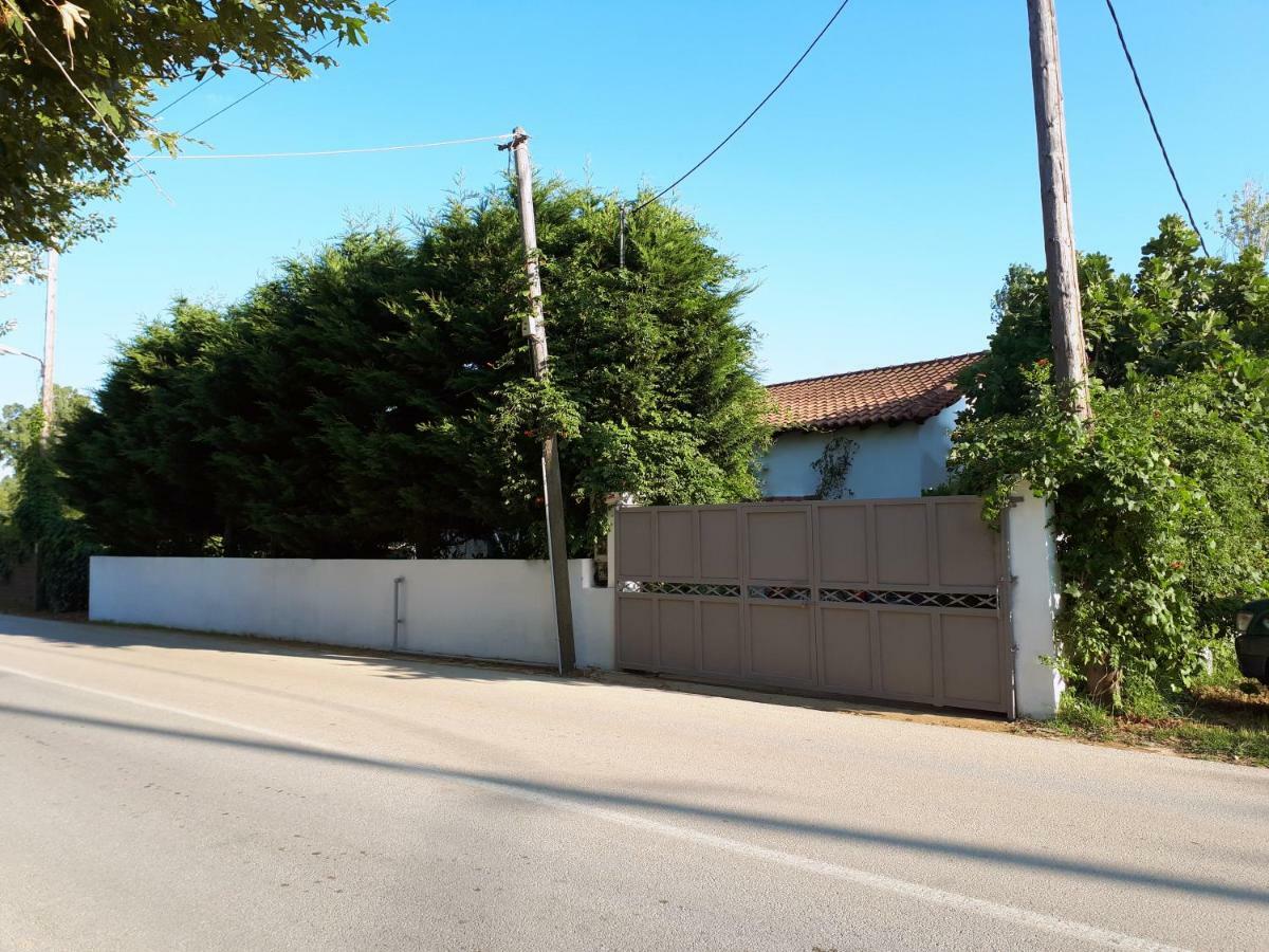 Ckiathi - Ckiaθi - Ps Rental Agia Paraskevi  Ngoại thất bức ảnh